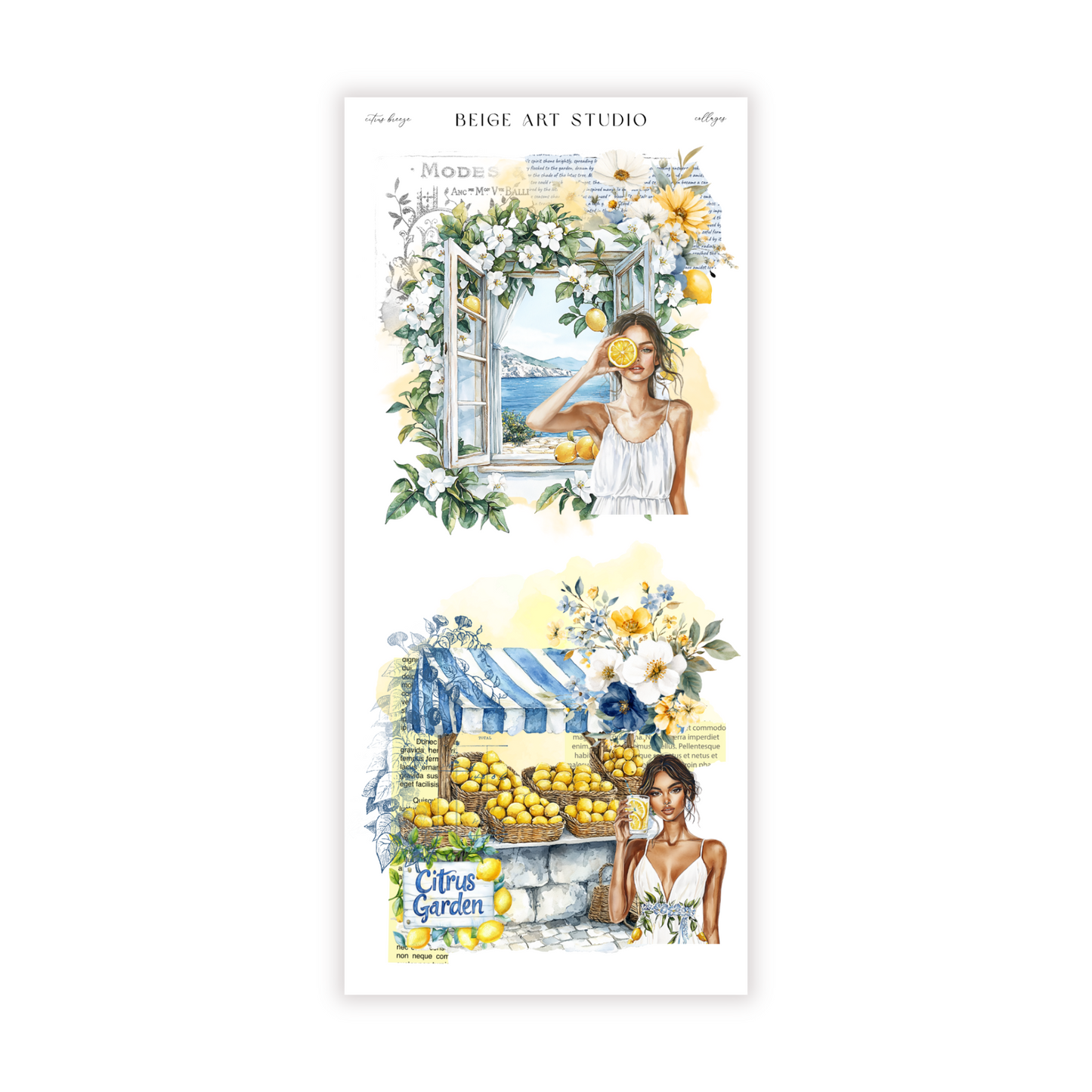 Citrus Breeze | Decorative Kit